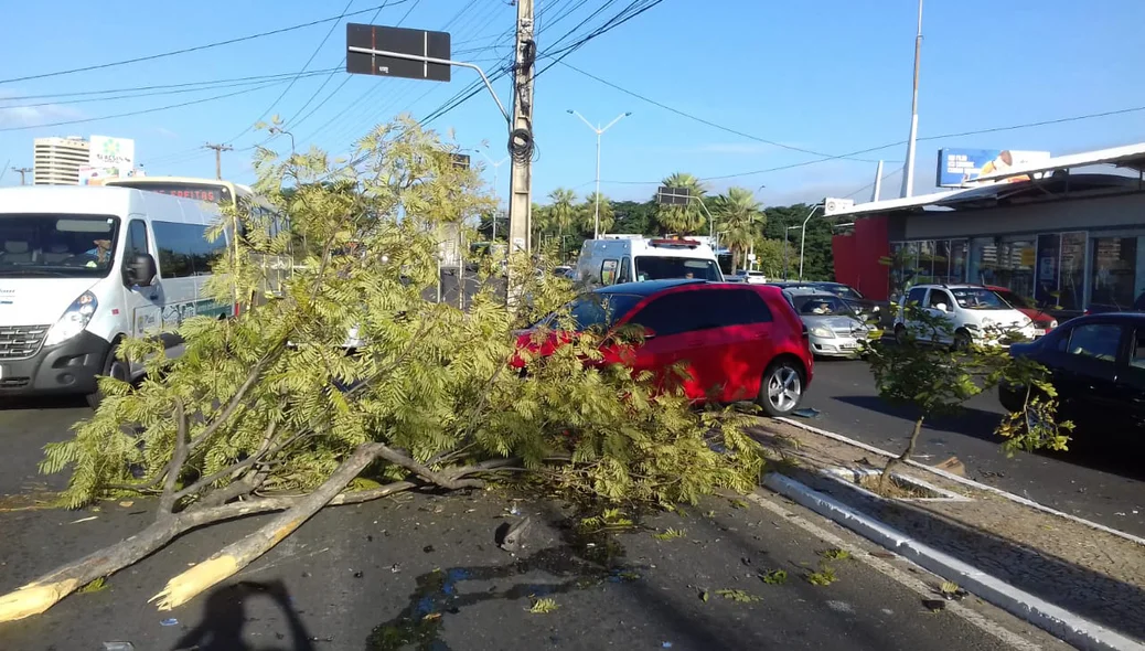 Veículo Golf ficou atravessado no canteiro central da Avenida João XXIII