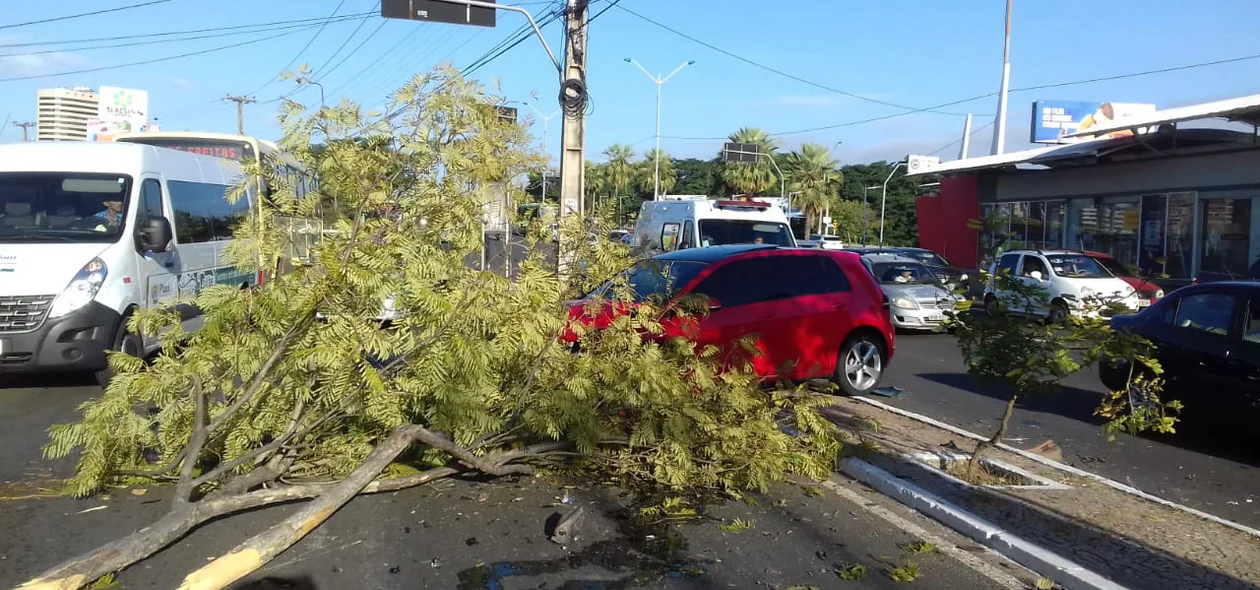 Veículo Golf ficou atravessado no canteiro central da Avenida João XXIII