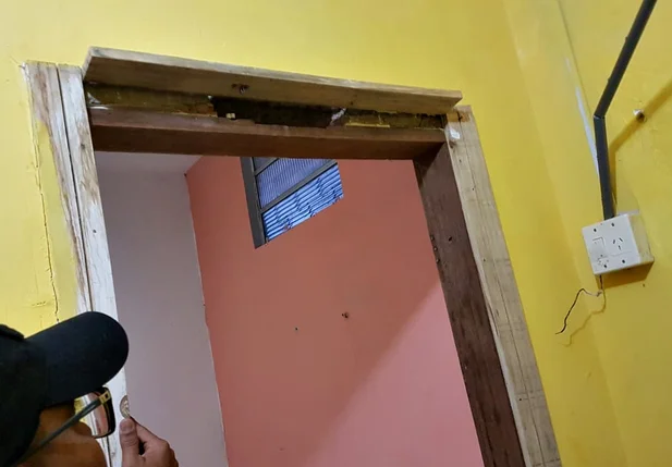 Drogas encontradas na residência