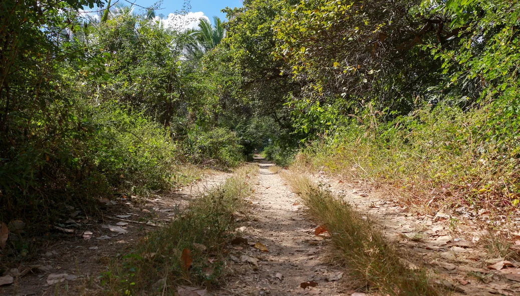 Estrada vicinal que dá acesso a draga