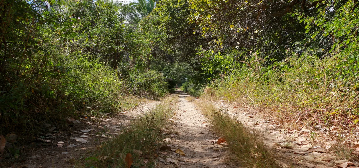 Estrada vicinal que dá acesso a draga