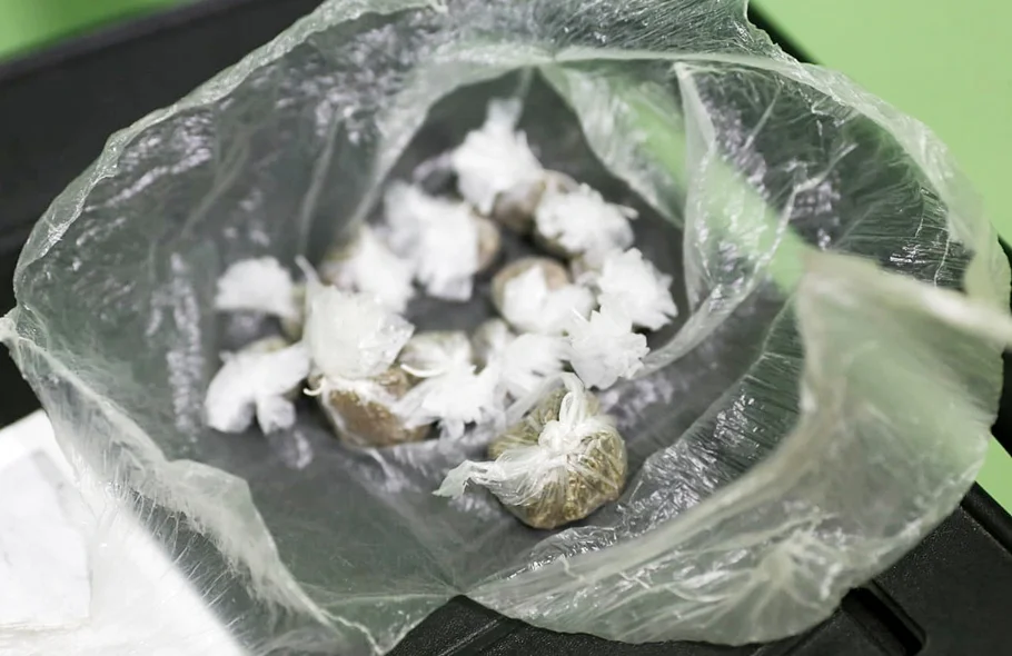 Maconha apreendida 