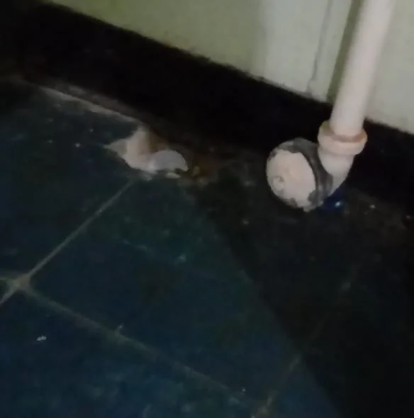 Estrutura danificada 