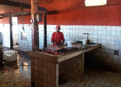 Local onde se abate animais