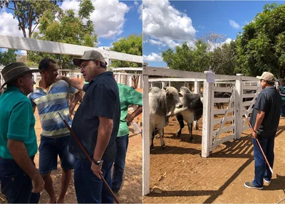 João Mádison em Elesbão Veloso
