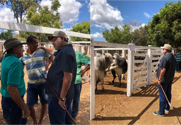 João Mádison em Elesbão Veloso