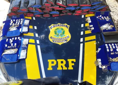 Material apreendido pela PRF na BR 316