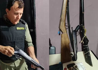 Armas apreendidas pelo GPM de Joaquim Pires