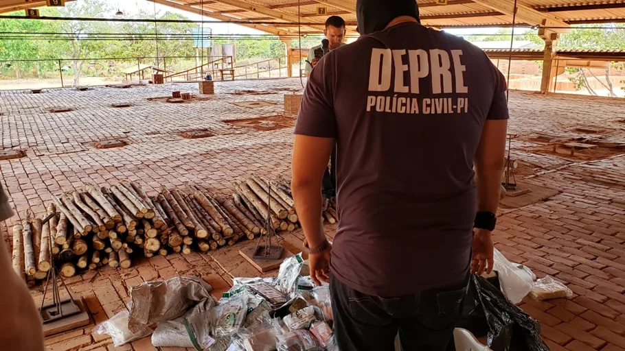 A DEPRE acompanhou o procedimento