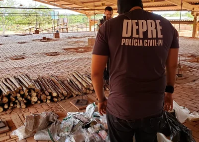 A DEPRE acompanhou o procedimento