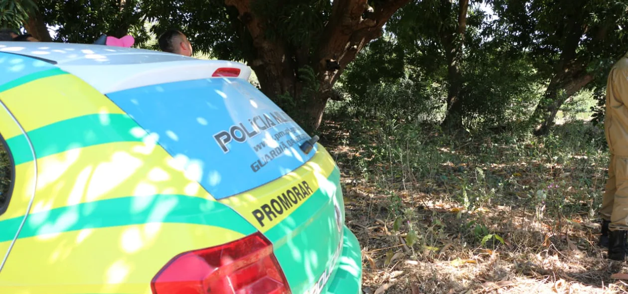 Companhia Independente de Policiamento do Promorar