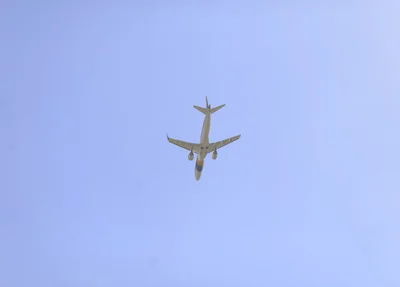Avião com o presidente Jair Bolsonaro 