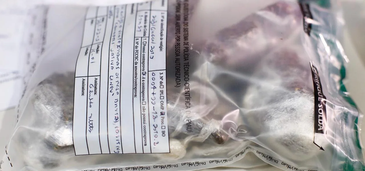 Droga apreendida na Operação Remanescentes