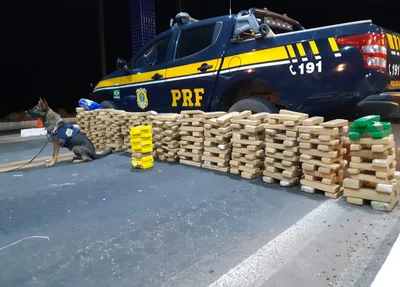 Maconha e cocaína apreendidos pela PRF em Floriano