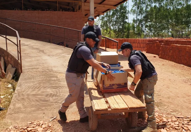 Material foi incinerado na manhã desta quarta-feira em Teresina