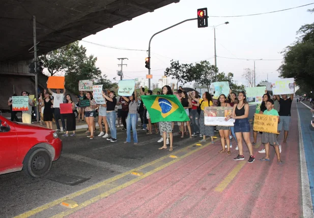 Manifestantes protestam em defesa da Amazônia em Teresina