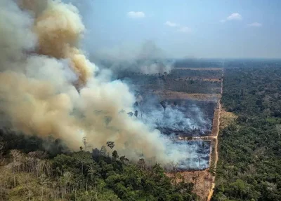 Incêndio na Amazônia, no estado de Rondônia
