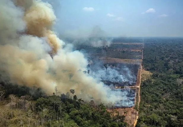 Incêndio na Amazônia, no estado de Rondônia