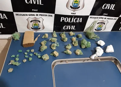 Drogas apreendidas