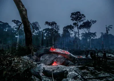 Desmatamento na Amazônia
