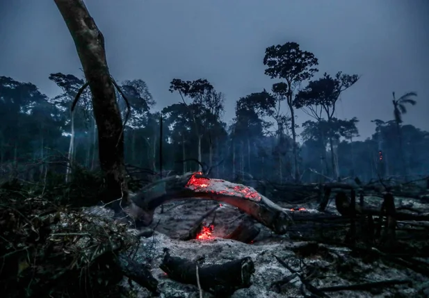 Desmatamento na Amazônia