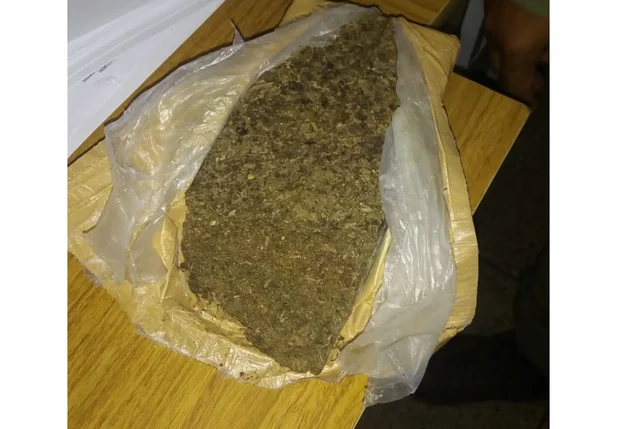 Droga encontrada em escola na zona sul  