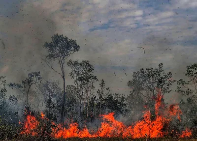 Queimadas na Amazônia