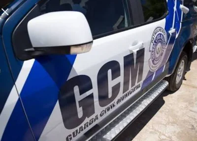 Guarda Municipal de Timon