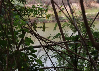 Rio Poti