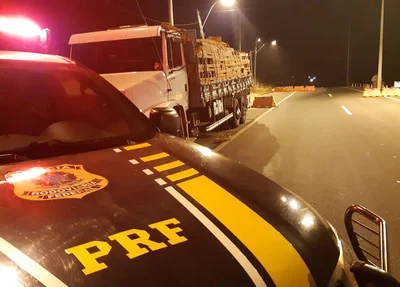 Madeira apreendida na BR 316