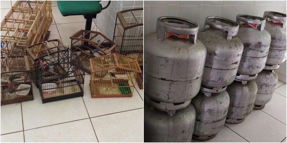 Apreensão em São José do Divino