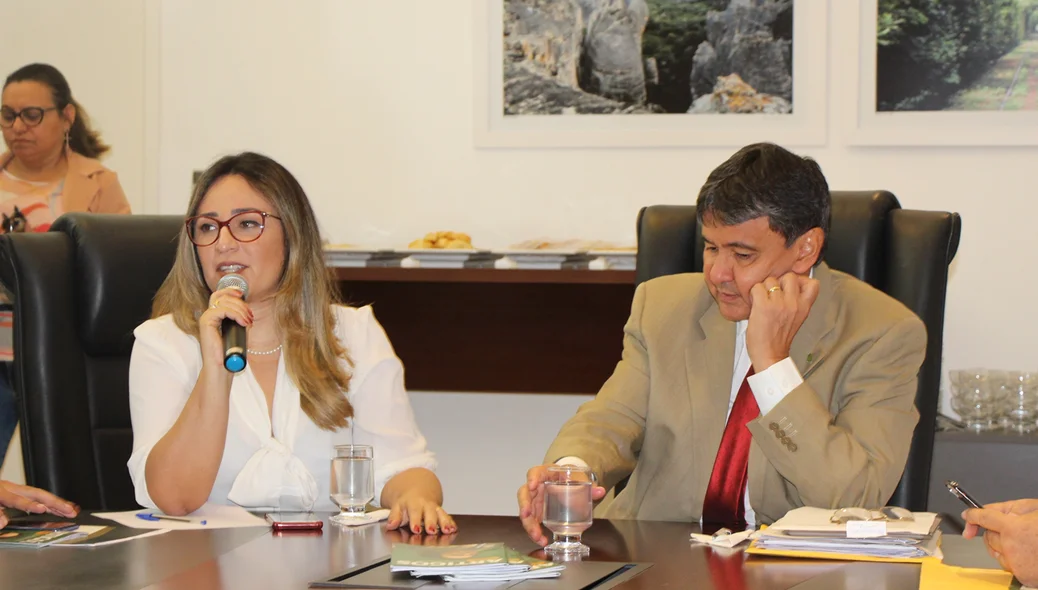 Governador Wellington Dias se reúne com prefeitos do PT
