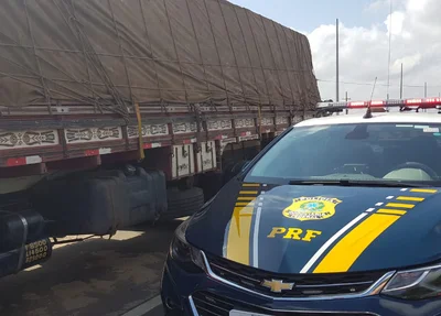 Madeira ilegal apreendida na BR 316
