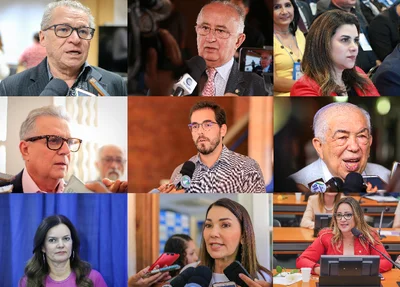 Nove deputados votaram a favor do projeto