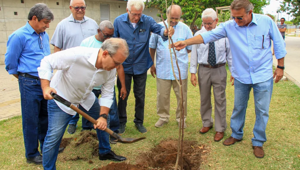 Árvore de número 1 milhão é plantada pelo prefeito Firmino Filho