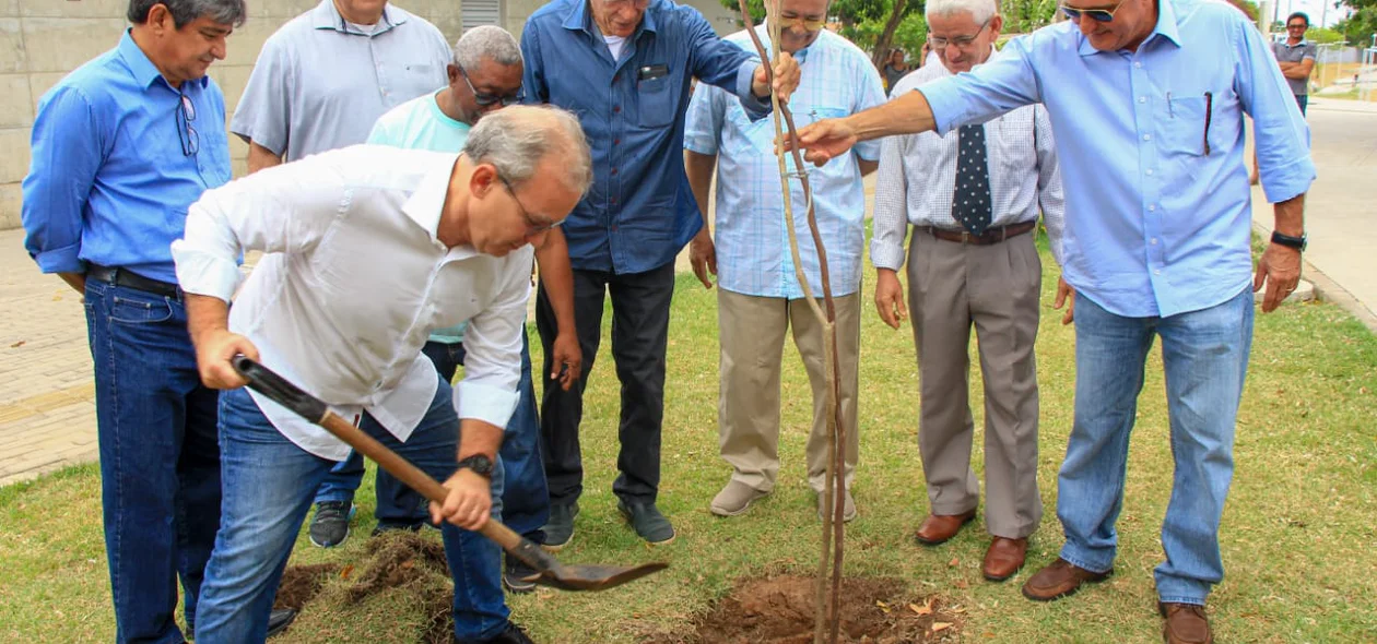 Árvore de número 1 milhão é plantada pelo prefeito Firmino Filho