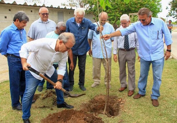 Árvore de número 1 milhão é plantada pelo prefeito Firmino Filho