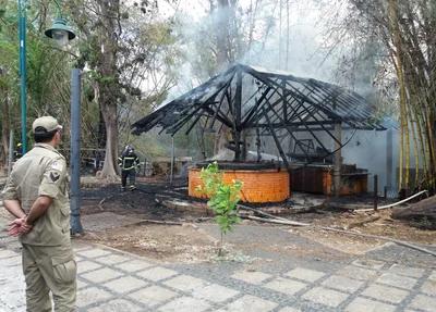 Incêndio destrói quiosque na Avenida Raul Lopes 