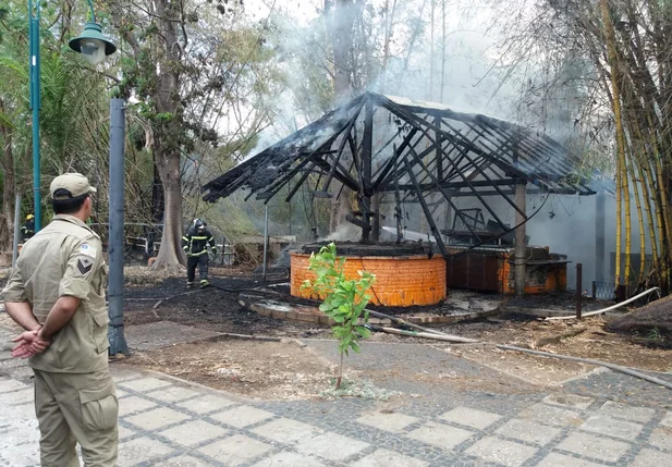 Incêndio destrói quiosque na Avenida Raul Lopes 