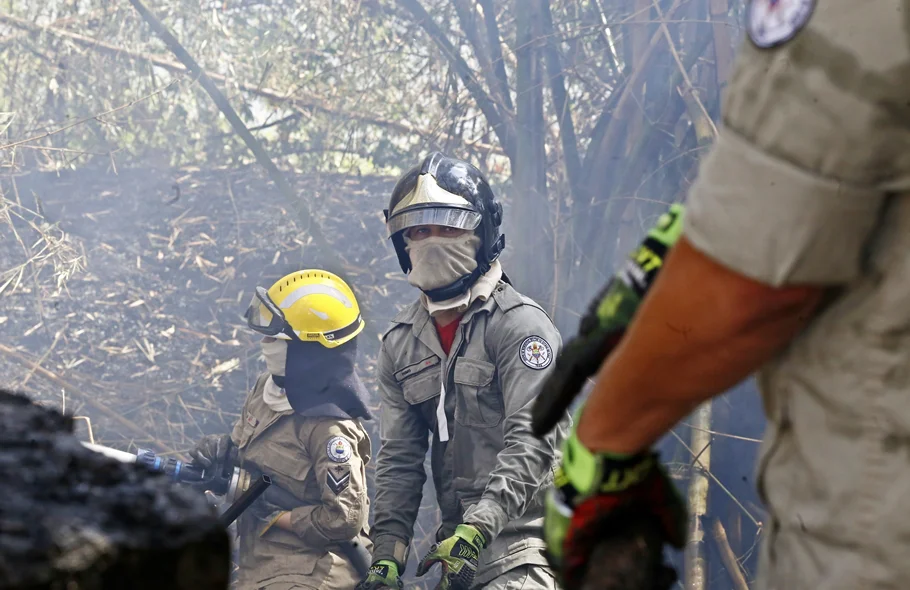 Os bombeiros foram acionados por populares