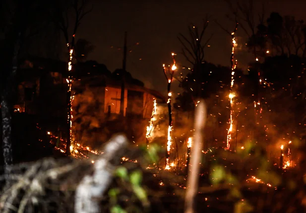 Incêndio em vegetação ameaça residências no Pedro Balzi