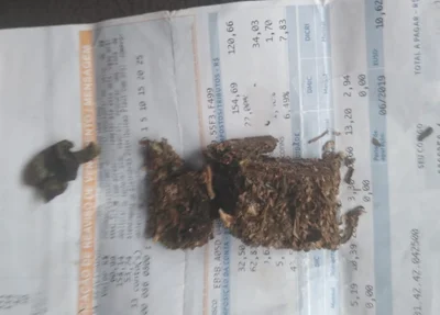 Droga encontrada com Fábio Ricardo