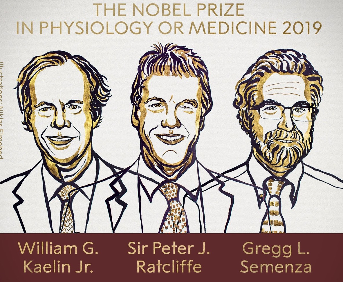 Ganhadores do Nobel de Medicina 2019
