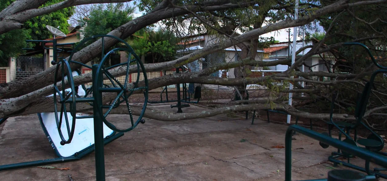 Situação da praça após temporal