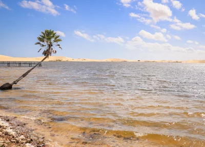 Lagoa do Portinho