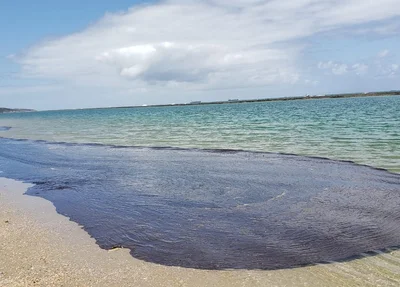 Praia de Macaípe, no Pernambuco foi atingida por óleo