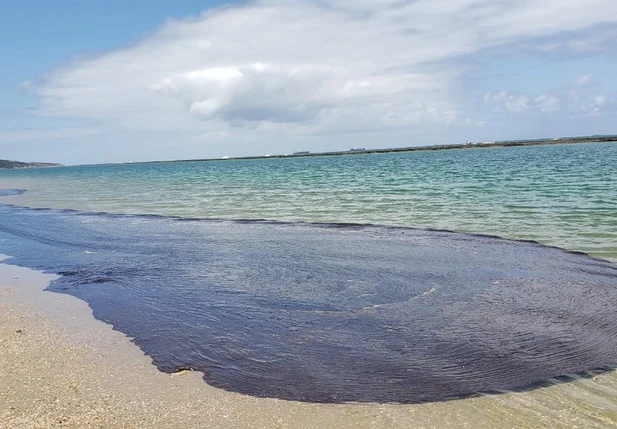 Praia de Macaípe, no Pernambuco foi atingida por óleo