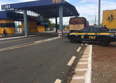Carga de madeira apreendida na BR 316