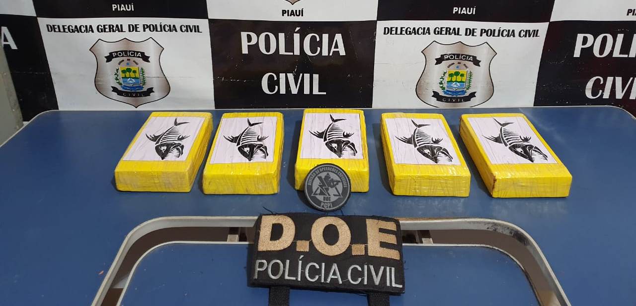 Tabletes de cocaína apreendidos pela Polícia Civil 