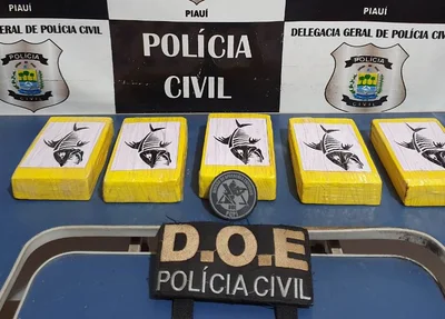 Tabletes de cocaína apreendidos pela Polícia Civil 